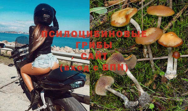 мдпв Нягань