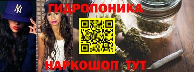 шишки Жуковский