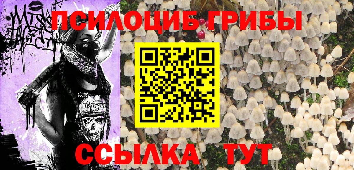 Галлюциногенные грибы Cubensis Волоколамск