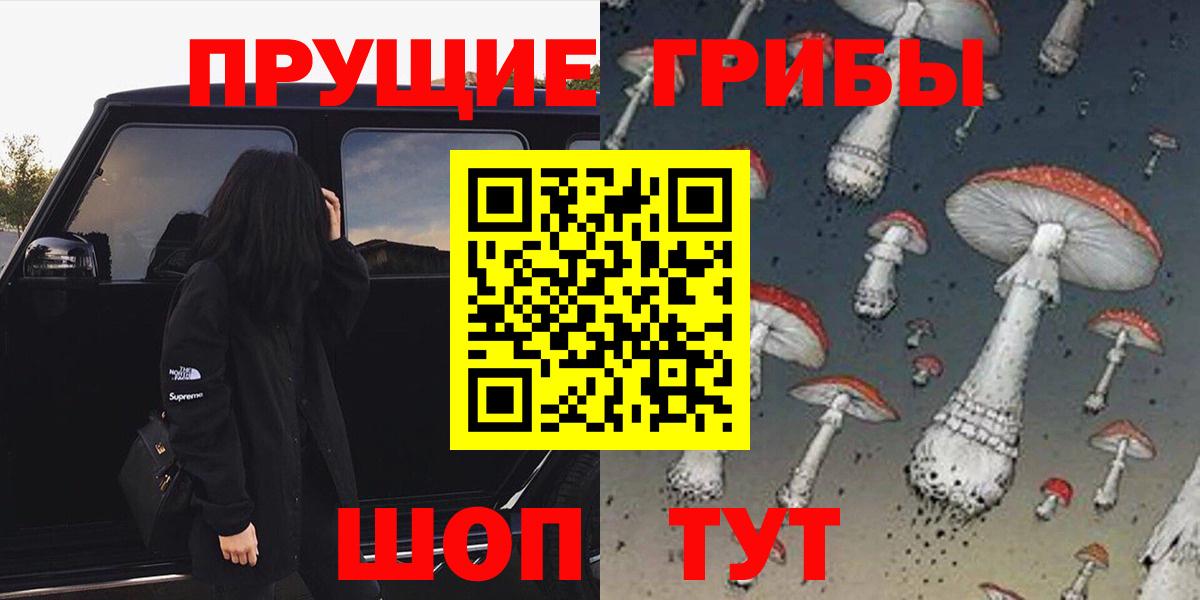 Псилоцибиновые грибы прущие грибы  купить   Псилоцибиновые грибы прущие грибы  Волоколамск  Вход с VPN 